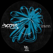 VA - Deep Roots, Vol. 1 [Roots Recordings]